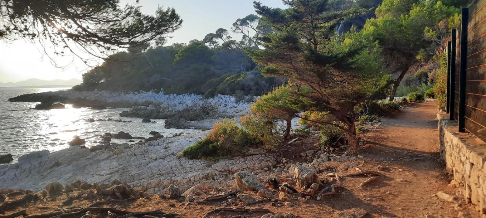 Studio Sun-Beach Avec Parking Et Jardin - 500M Des Plages De Juan Les Pins Antibes Exteriér fotografie